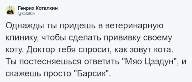 SЛюди рассказывают о мягко говоря странных кличках своих домашних питомцев