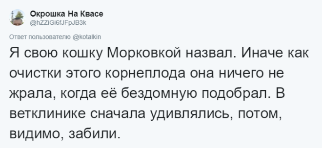 SЛюди рассказывают о мягко говоря странных кличках своих домашних питомцев