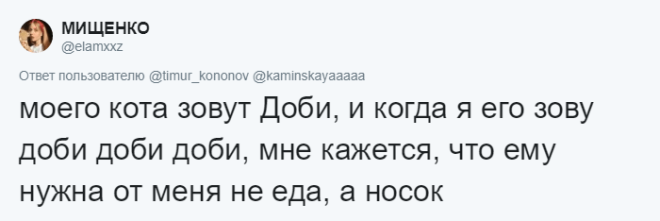 SЛюди рассказывают о мягко говоря странных кличках своих домашних питомцев