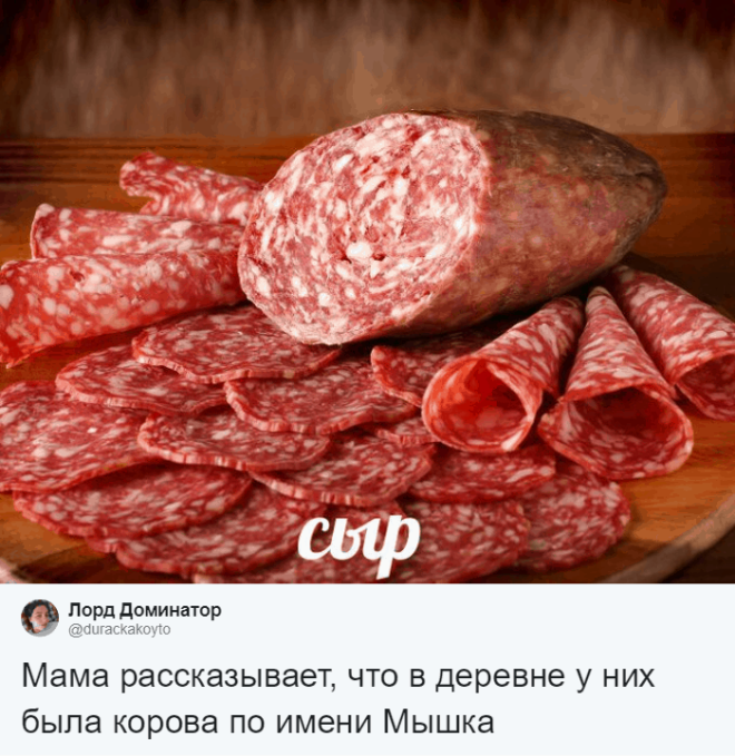 SЛюди рассказывают о мягко говоря странных кличках своих домашних питомцев