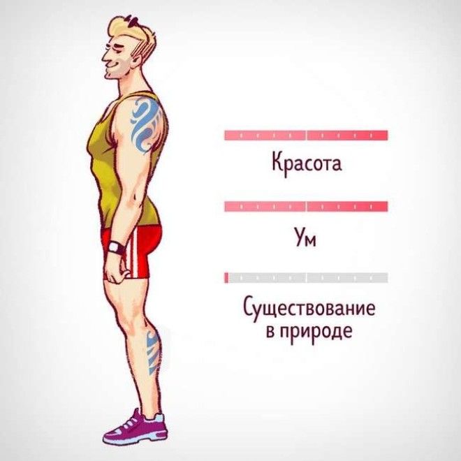 Комикстест который поможет определить какой тип мужчины вам подходит