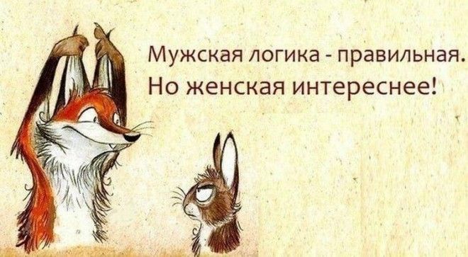 Забавные фразочки о жизни