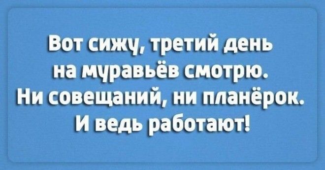 Лучшие шутки о работе. Настраиваемся на рабочую неделю