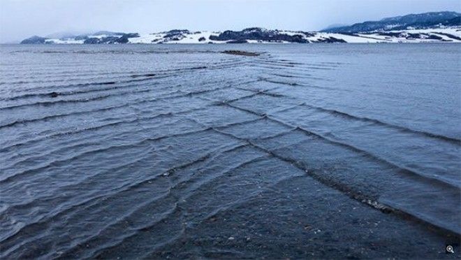 Немедленно выходите из воды если на её поверхности появляются квадратные волны