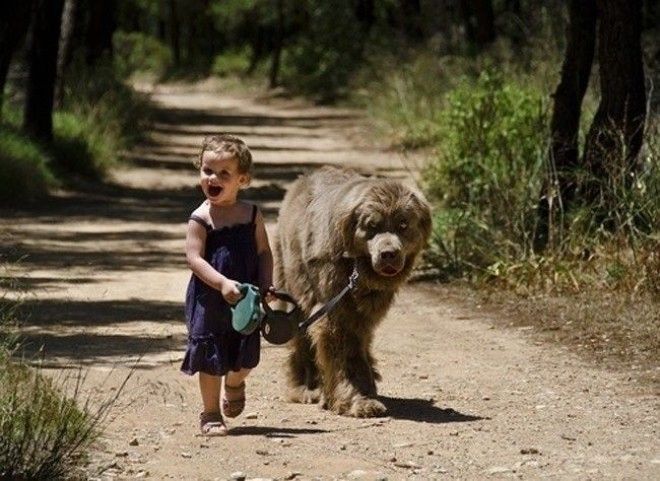 Очень милые фотографии детей с собаками дети собаки