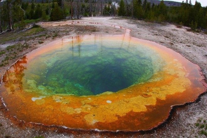 Эти вещи всегда считали натуральными но они абсолютно искусственные