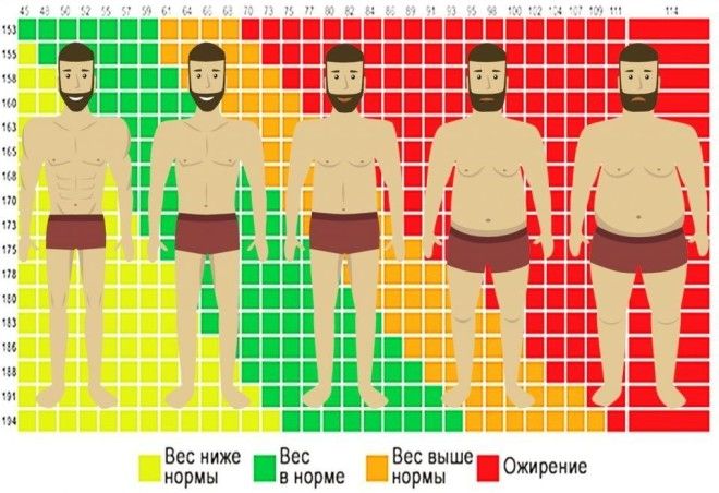 Индекс массы тела как рассчитать по формуле и таблице 