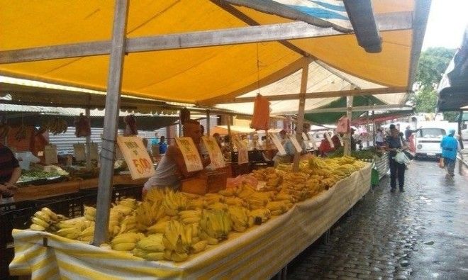 Разнообразие бананов на уличном рынке