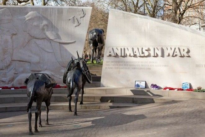 Памятник в память о Британском холокосте животных