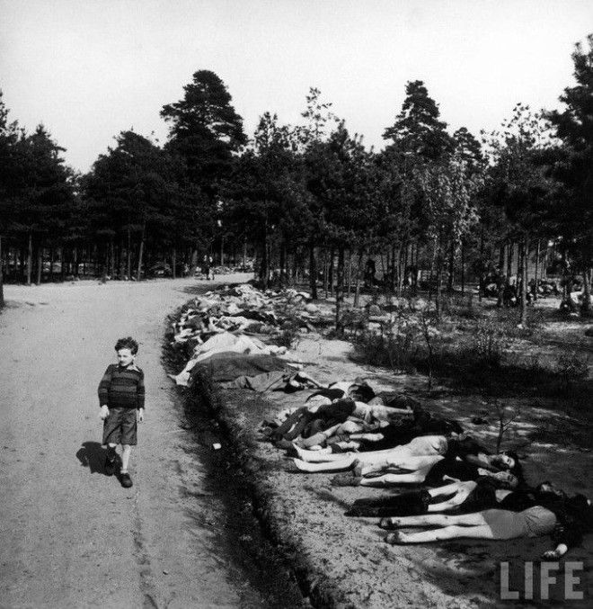 Прилегающий лес к лагерю смерти Bergen Belsen 20 апреля 1945