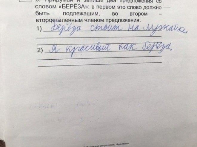 Ученики, которые изо всех сил старались быть лучшими, но что-то пошло не так история, прикол, факты, юмор