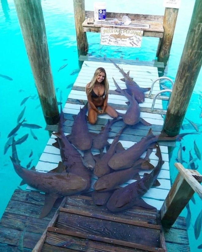 Студентка, которая путешествует по миру, чтобы сфотографироваться с невероятными морскими существами