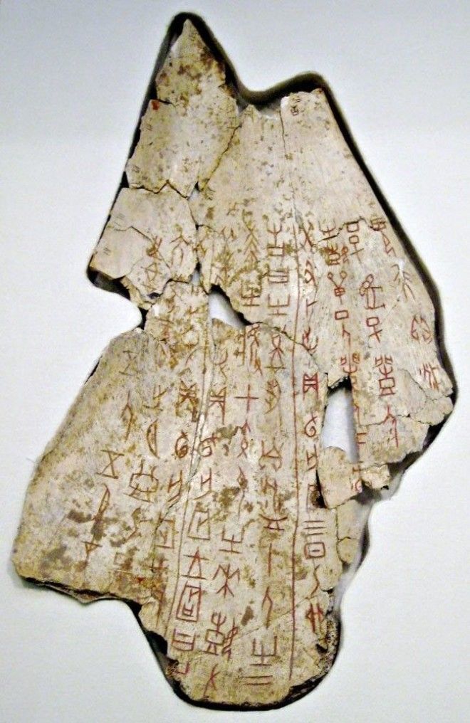 Shang_dynasty_inscribed_sca.jpg