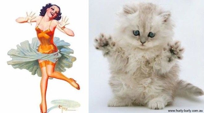 Котики, которые позируют точь-в-точь как модели в стиле пин-ап котики, пин-ап
