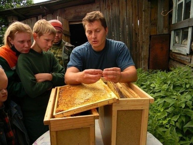 Пчеловодство в школах Башкирии