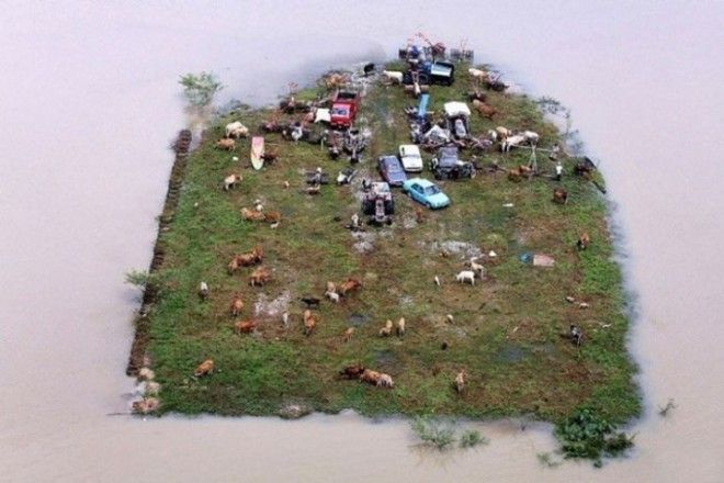 14. Островок суши, уцелевший после наводнения в Малайзии в мире, люди, фото