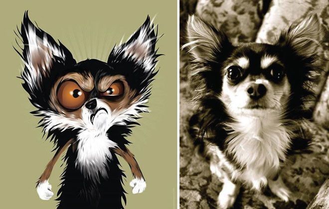 Портреты собак и кошек по рассказам их владельцев