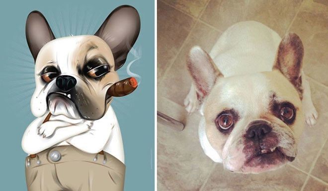 Портреты собак и кошек по рассказам их владельцев