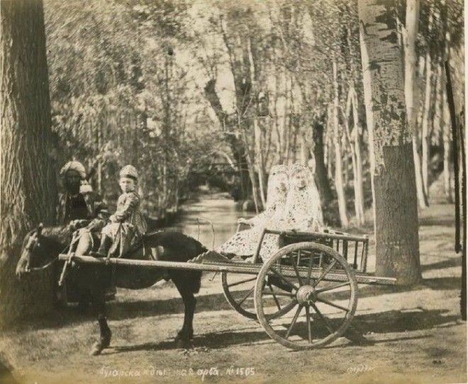 Бухарская арба. Середина 19 века.