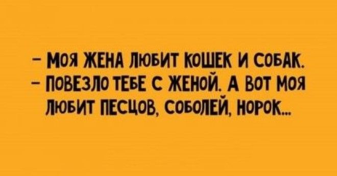 15 удивительно прикольных диалогов которые рассмешат вас до слёз