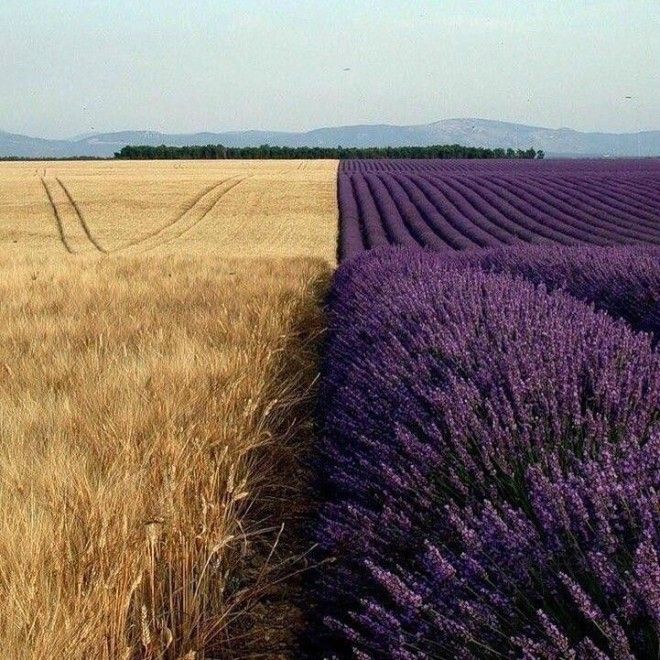 20 идеальных фотографий которые удовлетворят вашу страсть к совершенству