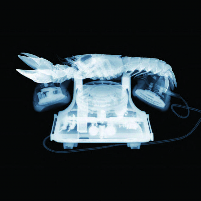 Телефон Автор Nick Veasey