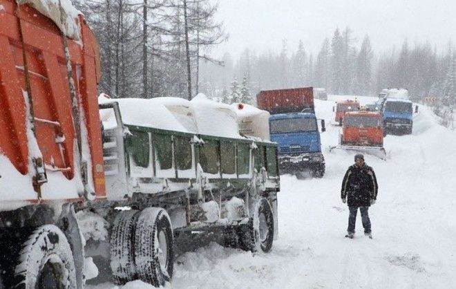 Картинки по запросу