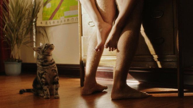 Что заставляет мужчин отказываться от секса на самом интересном месте