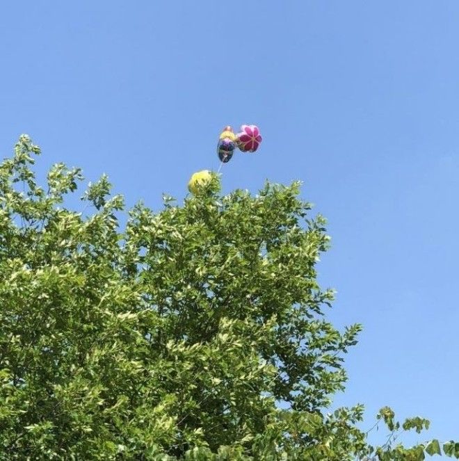 SBСлучаи когда удача повернулась к людям явно не передом