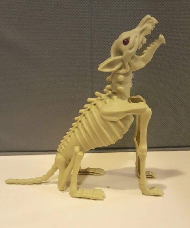 B18 фото дизайна девизом которых стало выражение Я художник я так вижу