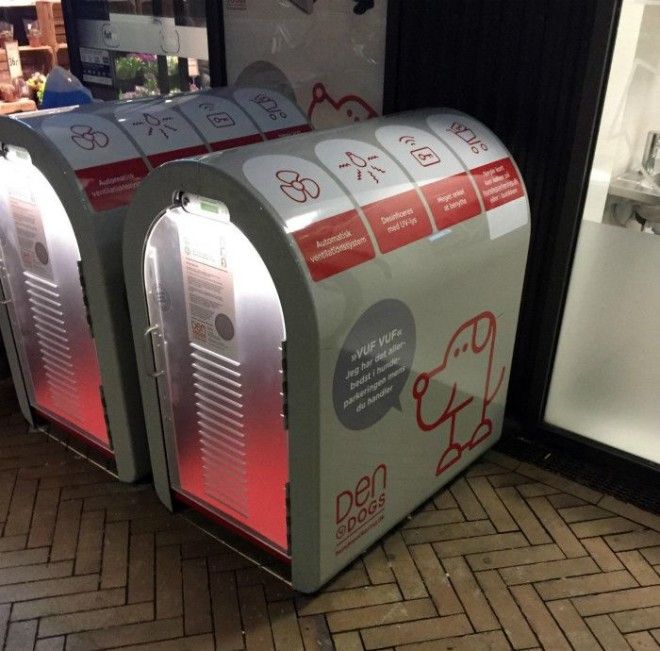 Кабинки для собак в магазинах Фото Upsocl