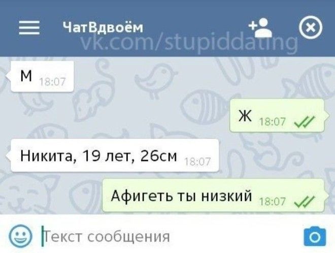 Смешные СМСсообщения и комментарии для поднятия настроения