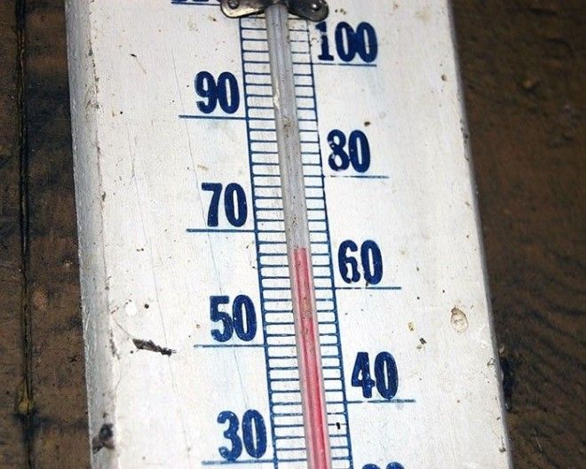 20 фактов об Антарктиде которые на 100 правдивы но в них сложно поверить