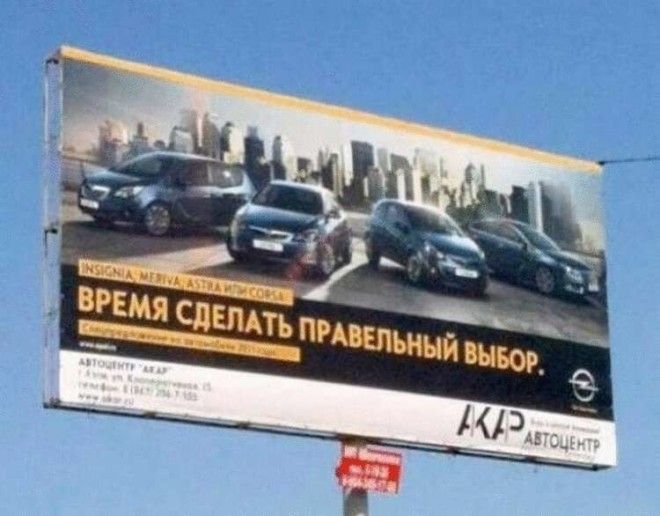 LГрамотность это в крови 25 случаев где и словари бессильны