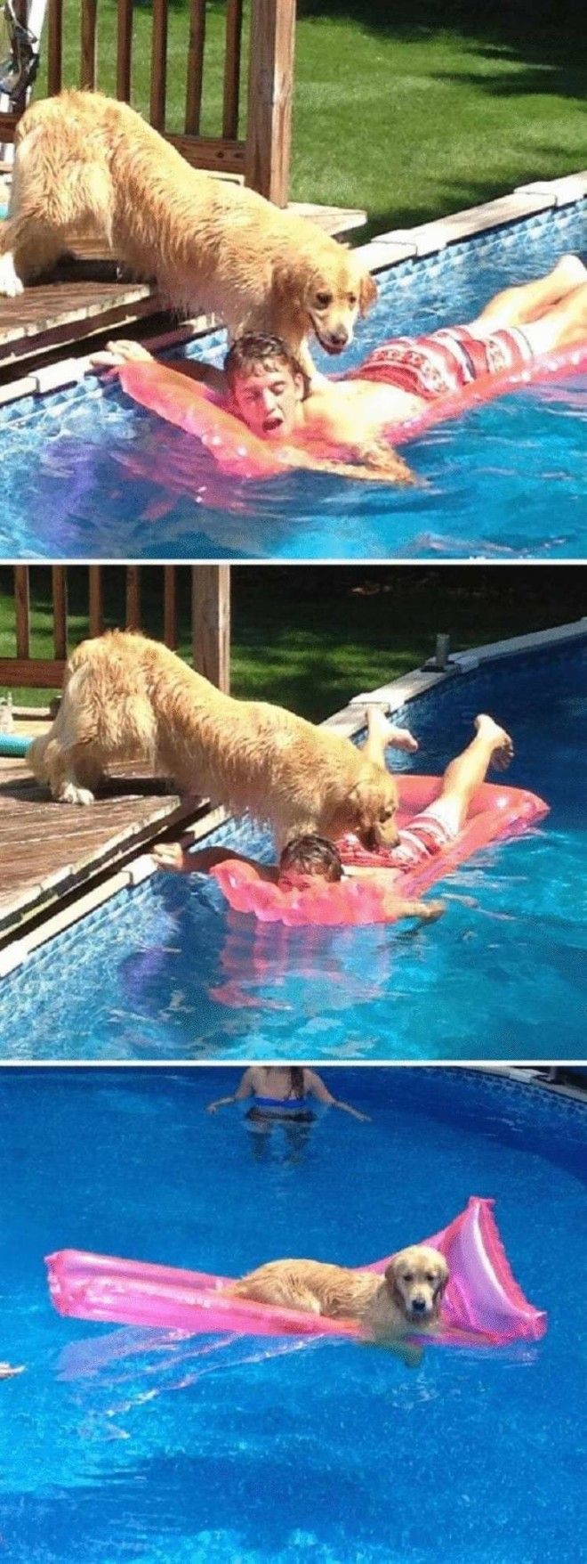 SB18 дерзких нарушителей порядка у которых нет ни стыда ни совести