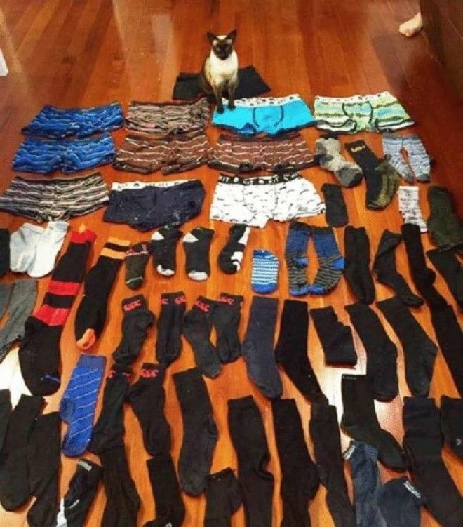 SB18 дерзких нарушителей порядка у которых нет ни стыда ни совести