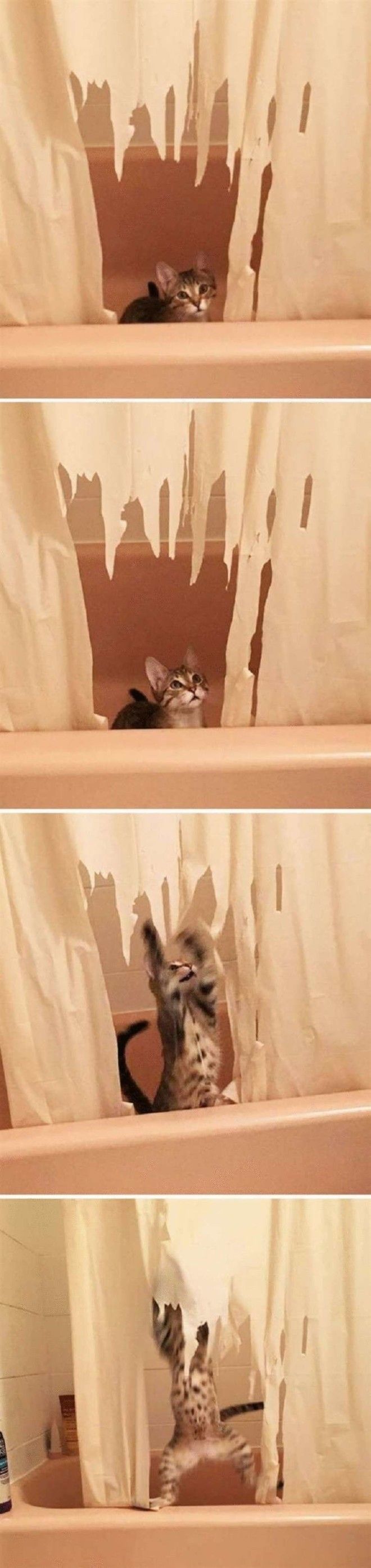 SB18 дерзких нарушителей порядка у которых нет ни стыда ни совести