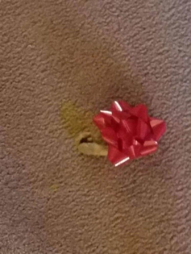 SB18 дерзких нарушителей порядка у которых нет ни стыда ни совести