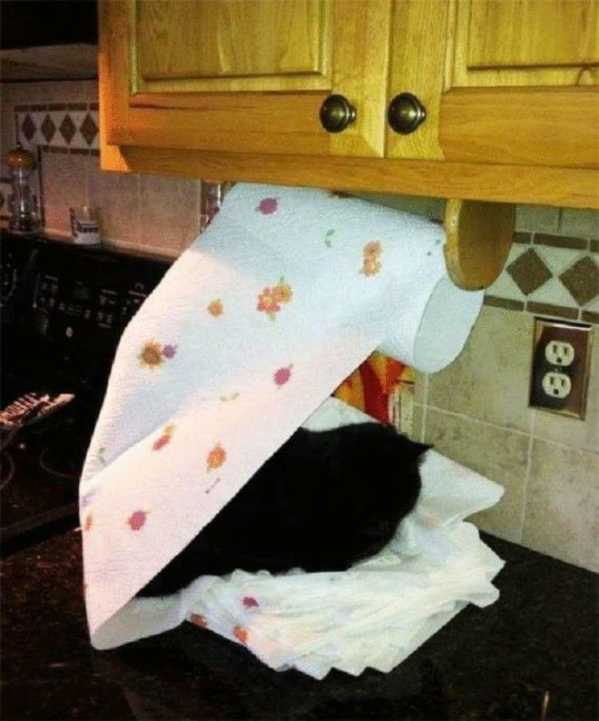 SB18 дерзких нарушителей порядка у которых нет ни стыда ни совести