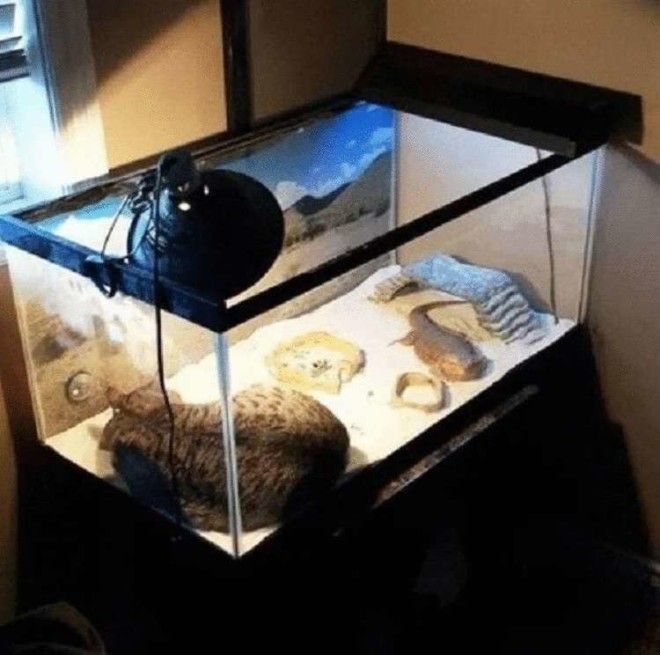 SB18 дерзких нарушителей порядка у которых нет ни стыда ни совести