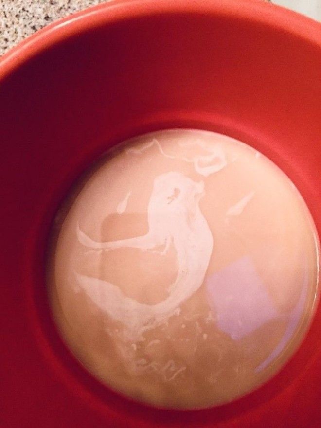 LB20 вещей которые притворяются совсем не тем чем являются