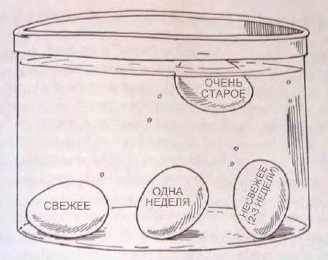 полезные советы лайфхаки лайфхаки для кухни лайфхаки для дома