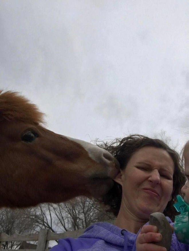 плохой день плохой день фото плохой день смешное неудачный день день не удался