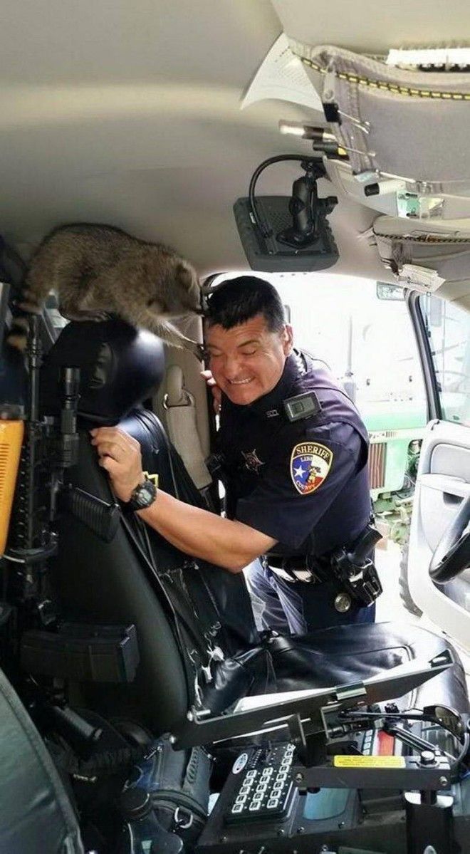 плохой день плохой день фото плохой день смешное неудачный день день не удался