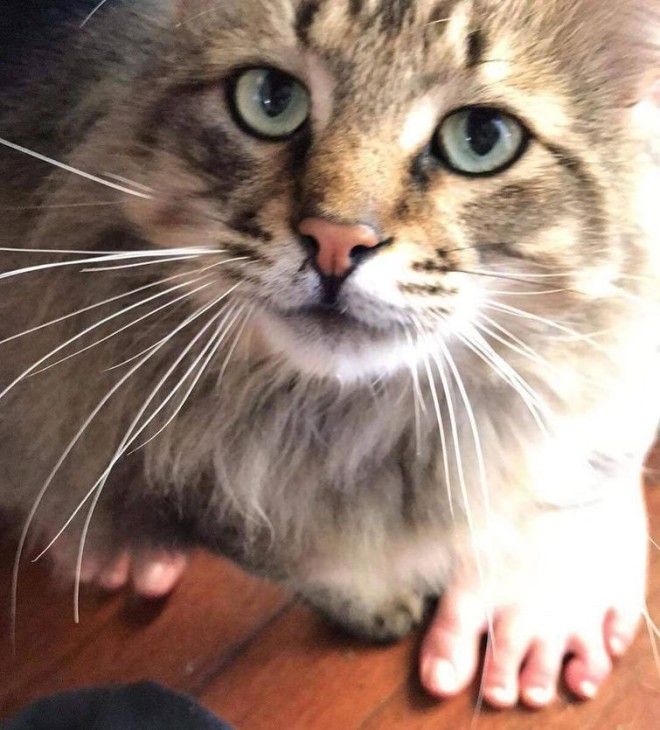 творческие фотографии находчивые фотографии необычный ракурс фото фотографии с необычным ракурсом