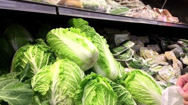 как выбрать пекинскую капусту