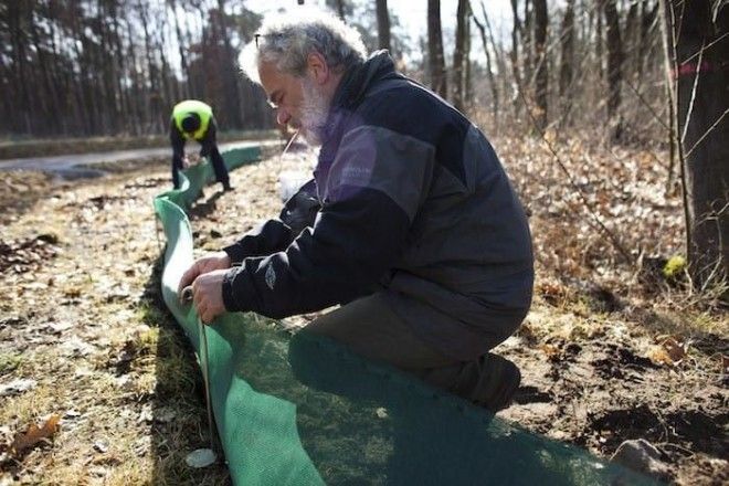 17 добрых и позитивных фактов