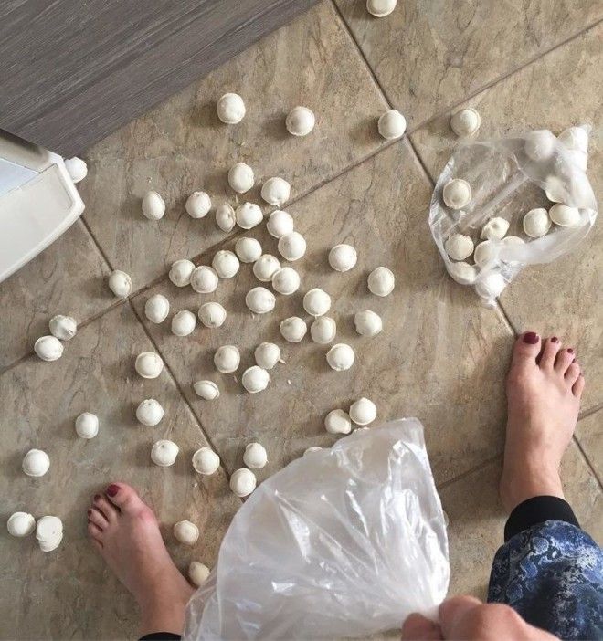 SB16 драматических фото от людей день которых не задался с самого утра