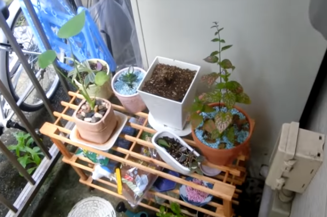 На крошечном балконе девушка не только хранит нужные вещи но и устроила живой уголок Фото youtubecom