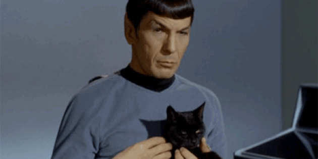 когнитивные искажения: чувства не меняются